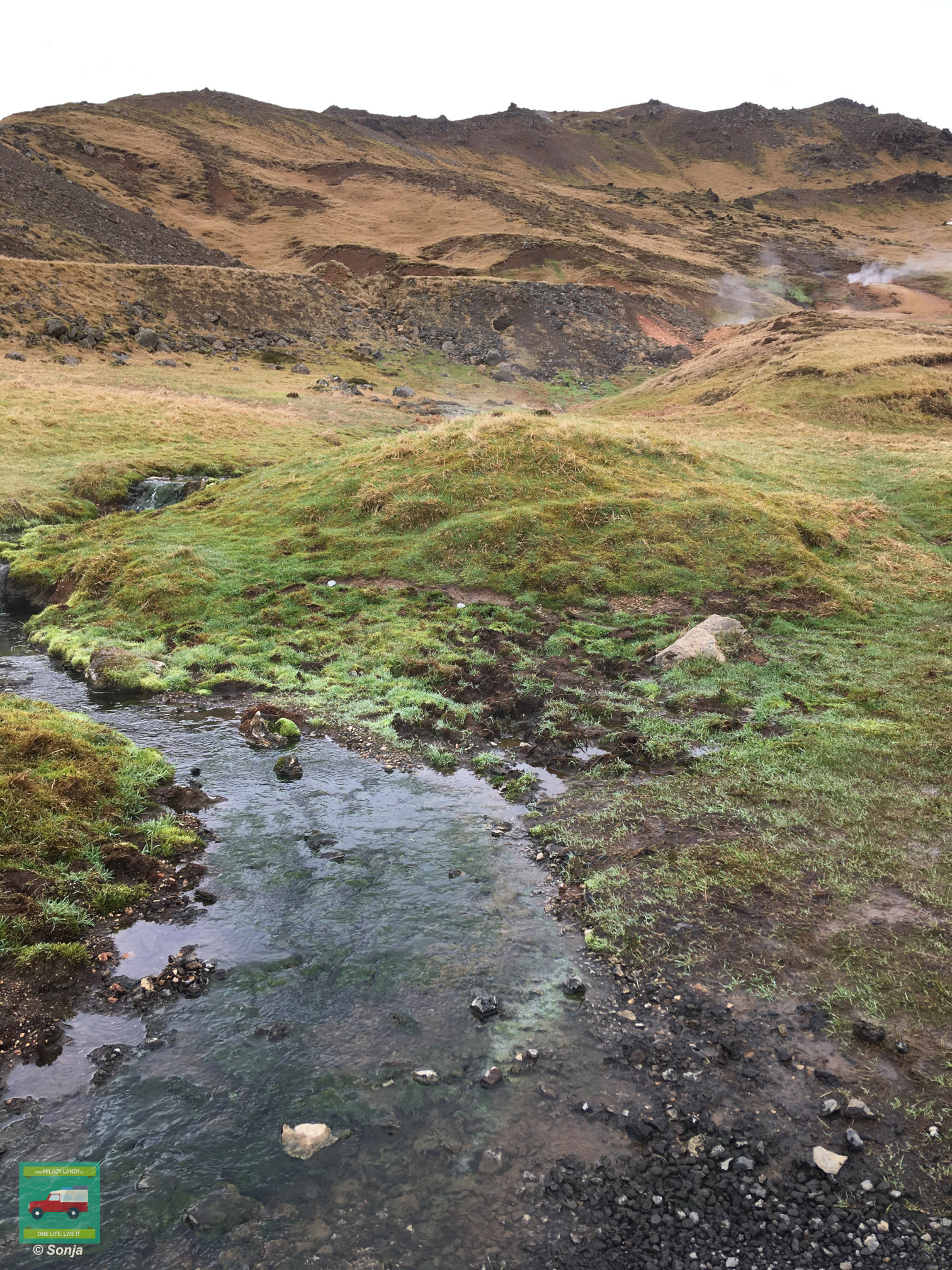 IJsland Gouden Cirkel Reykjadalur